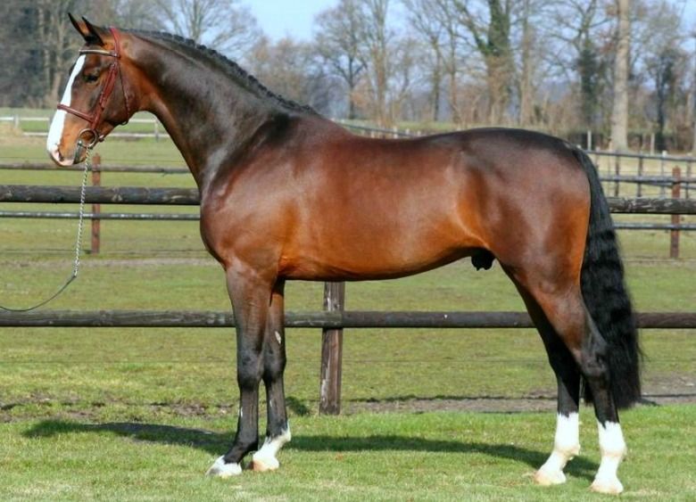Lancelot
