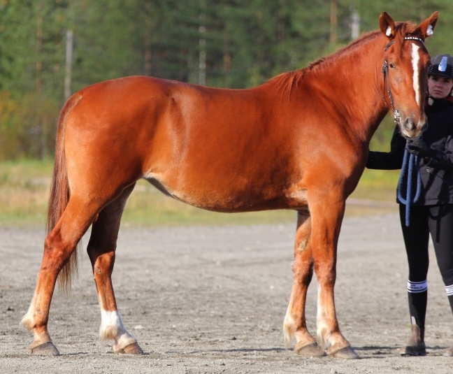 Vesisade SW