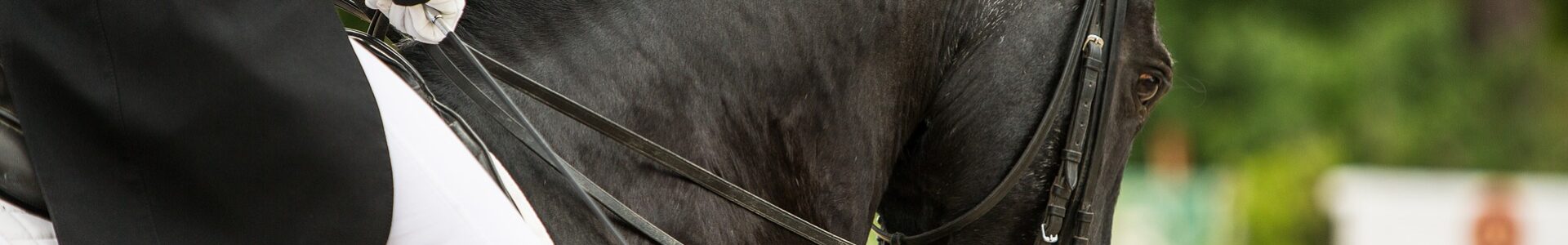 Spur Dressage Federation